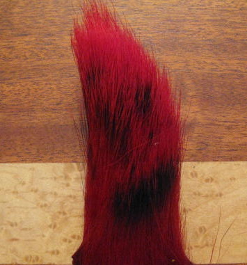 ����� ������� ��������� / badger tail orange